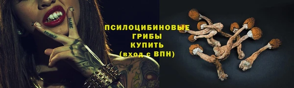 apvp Алексин