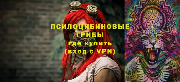 apvp Алексин