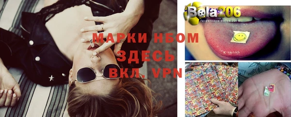 apvp Алексин