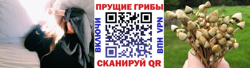 Псилоцибиновые грибы ЛСД дарнет шоп Выкса