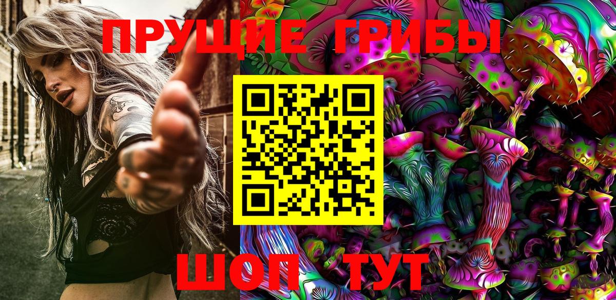 Галлюциногенные грибы ЛСД  Псилоцибиновые грибы Psilocybine cubensis  Выкса  Вход с VPN 
