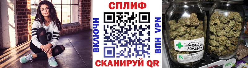 Каннабис SATIVA & INDICA  Выкса 