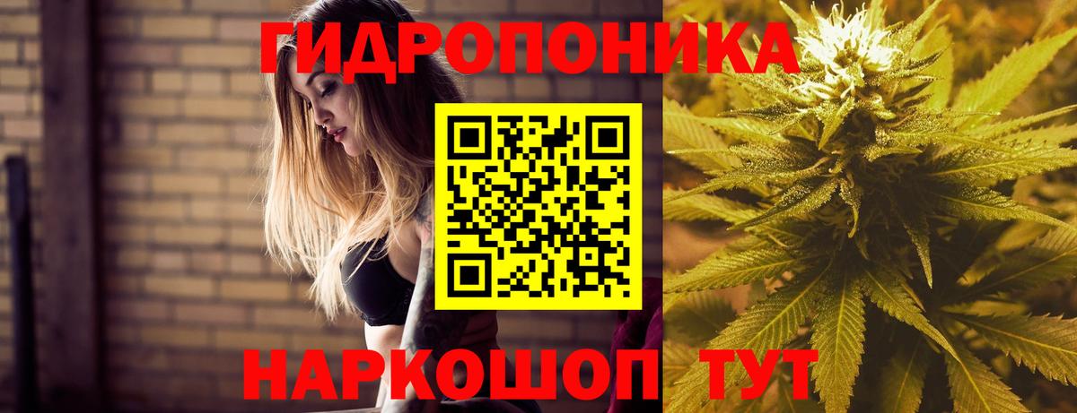 Конопля план  Канабис конопля  Бошки Шишки планчик  Вход с VPN  Выкса 